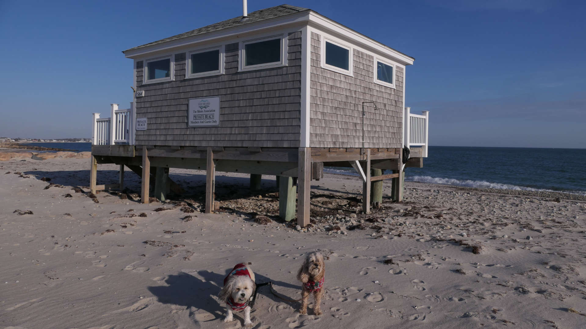 Falmouth26