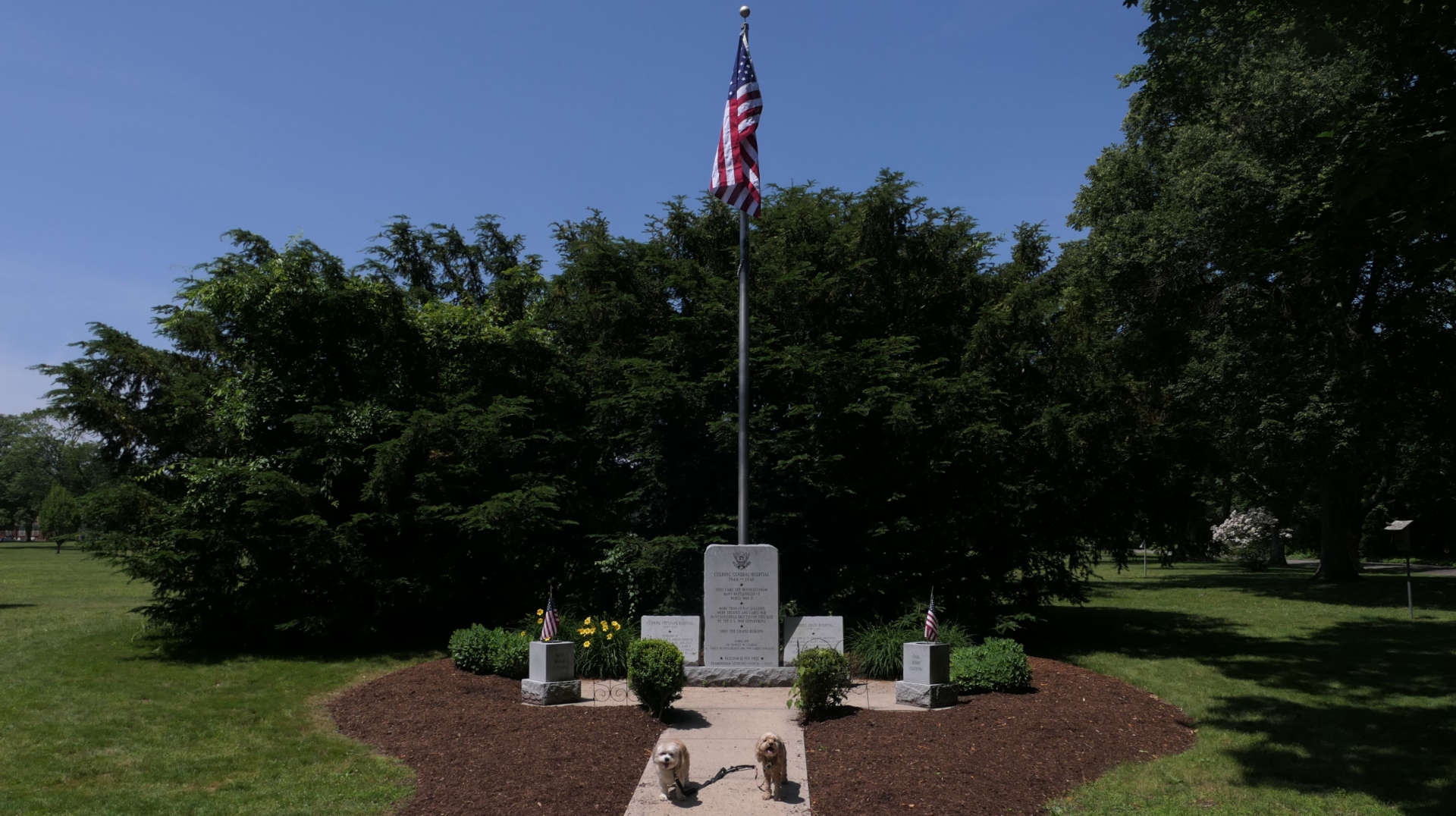 Framingham25