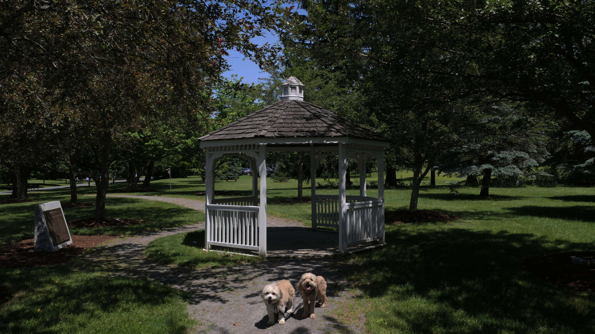 Framingham26