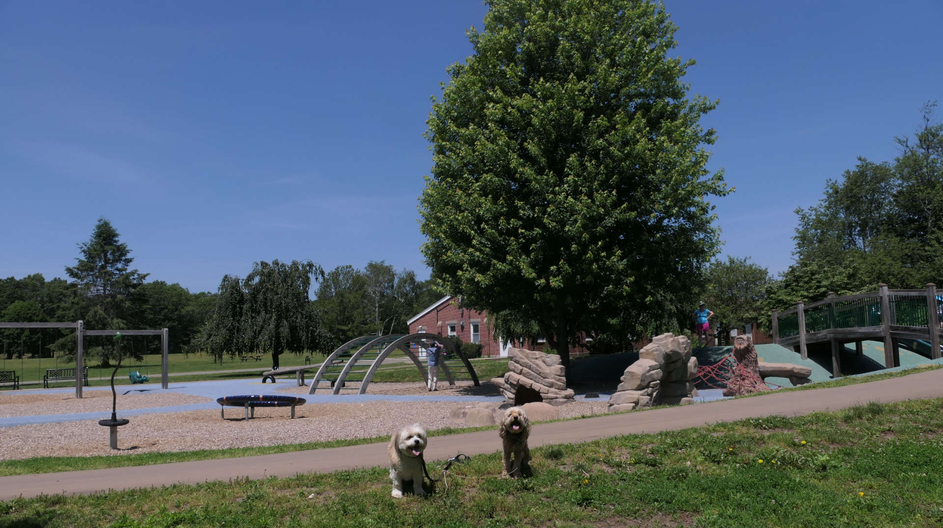 Framingham28