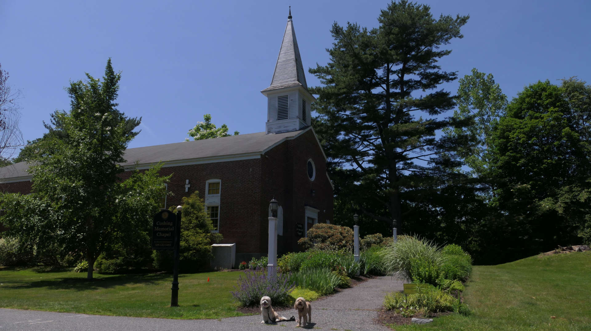 Framingham37