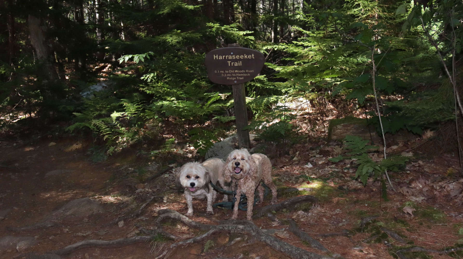 Freeport26