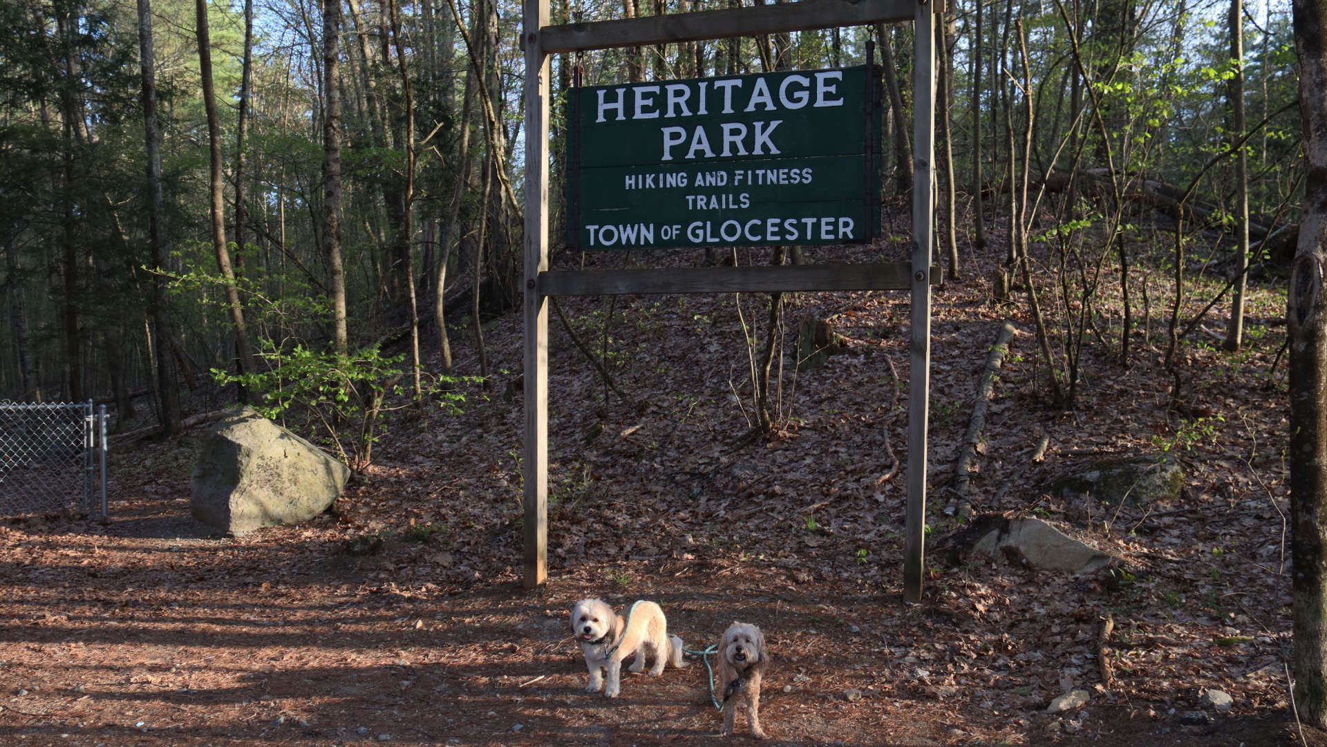 Glocester124