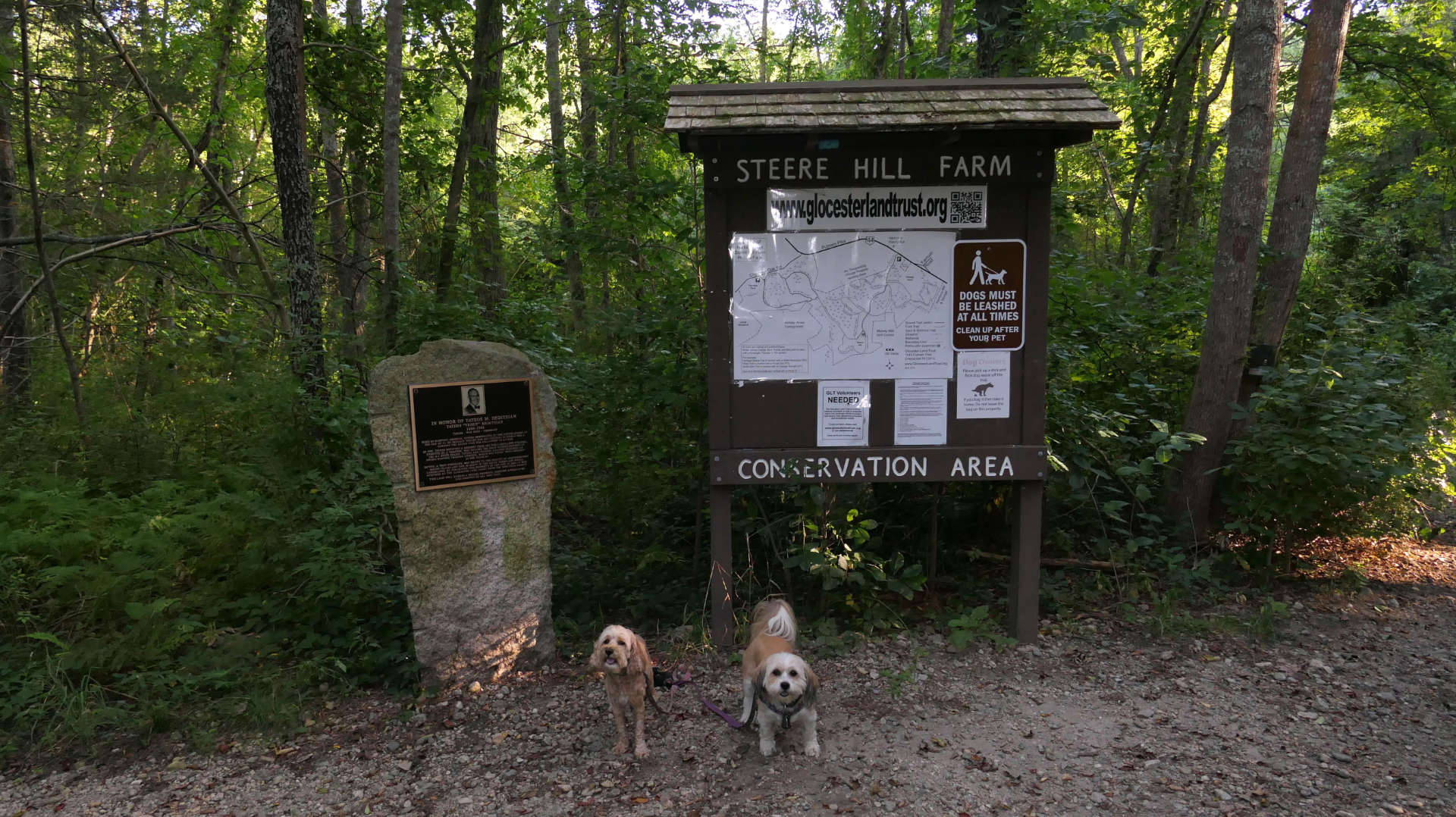 Steere Hill Conservation Area