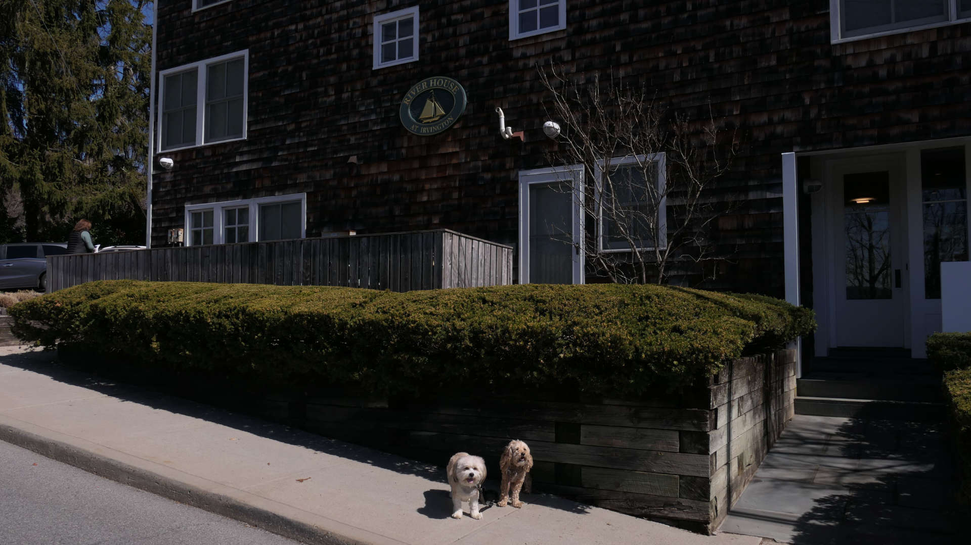 Greenburgh43