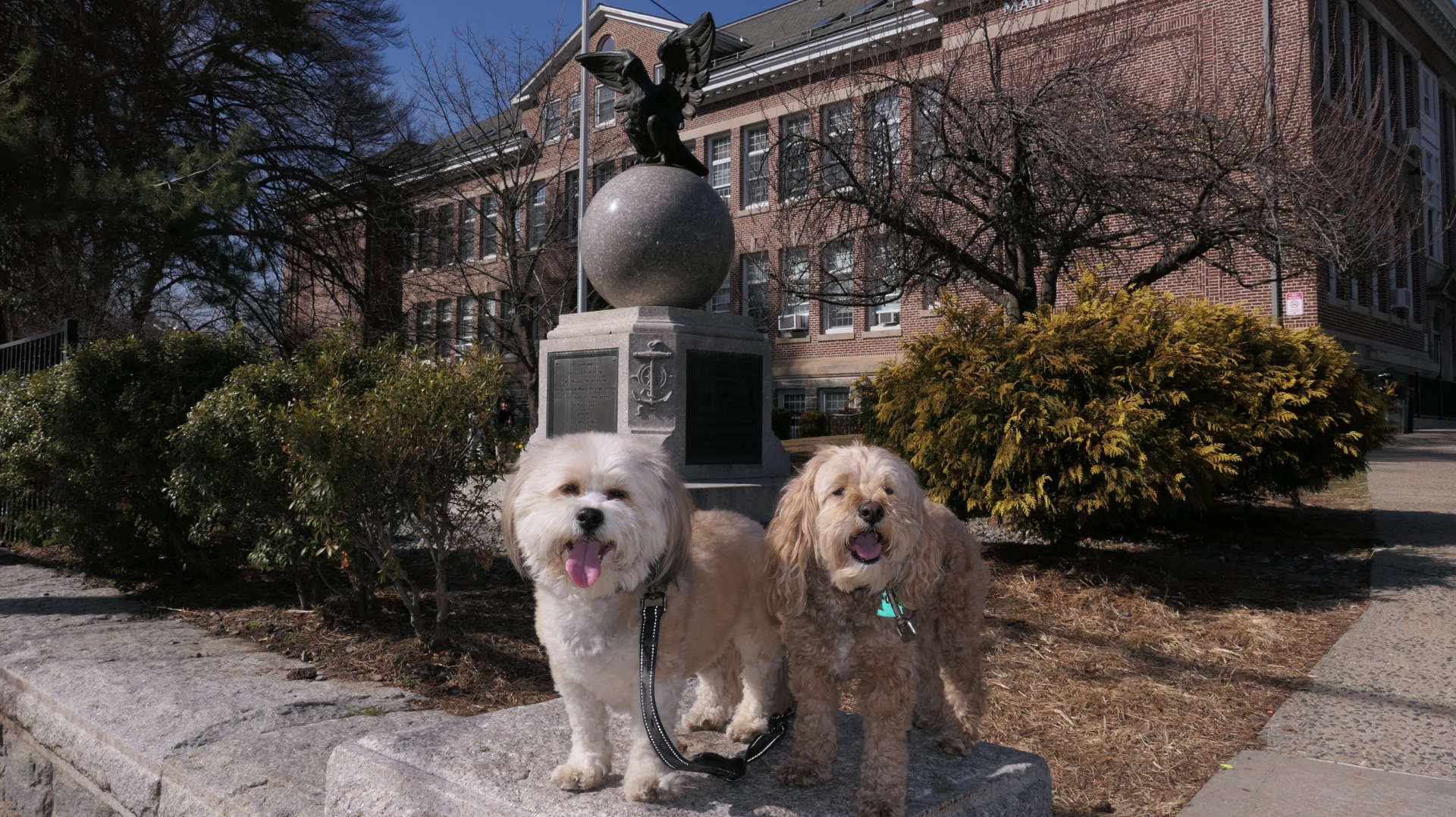 Greenburgh54