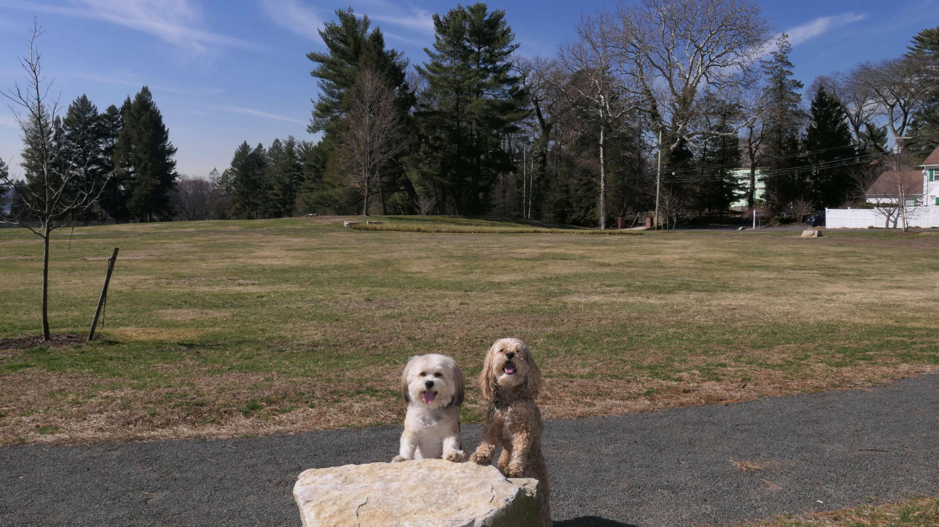 Greenburgh64