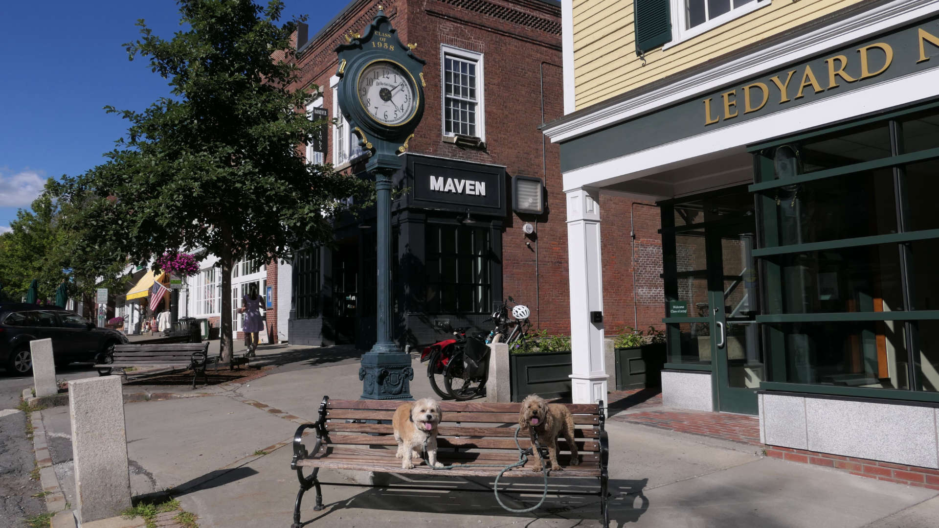 Hanover50