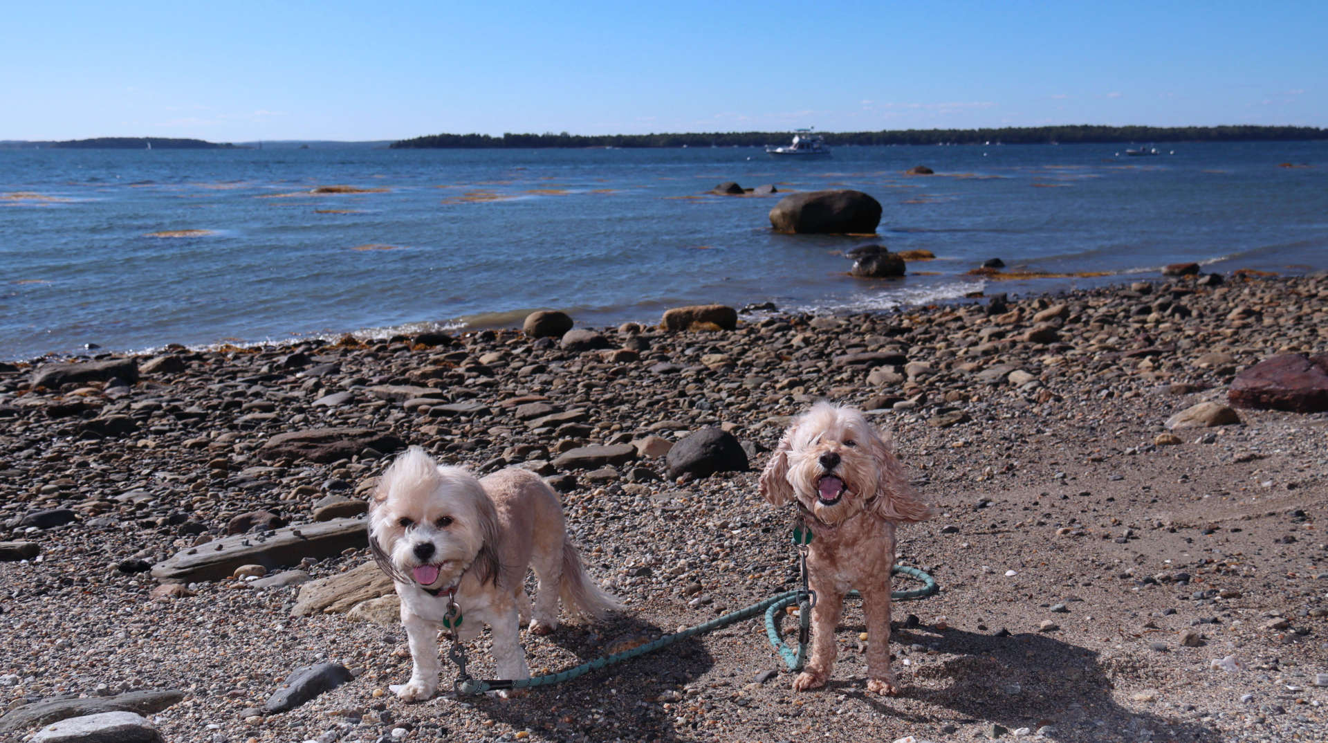 Harpswell19