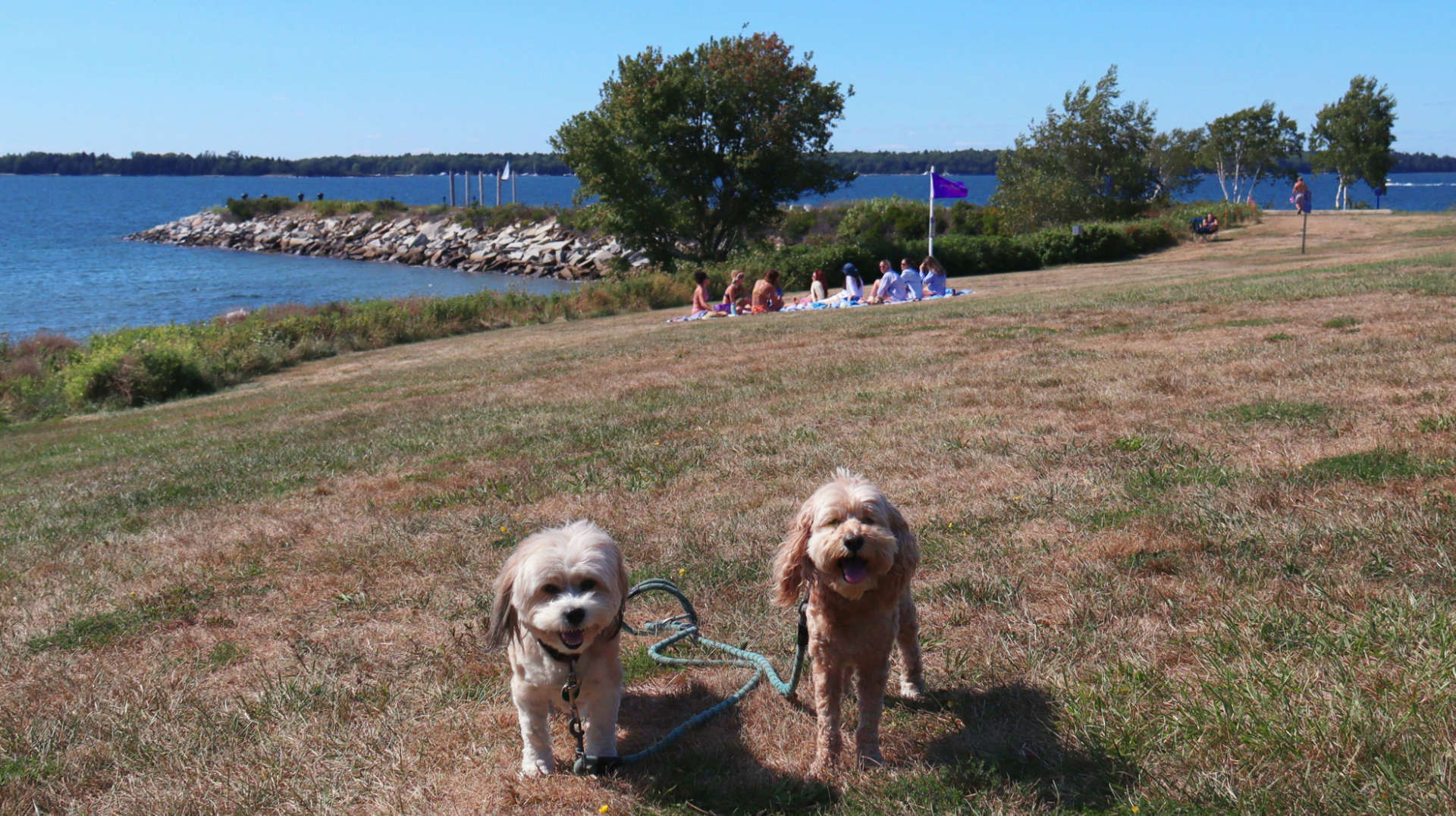 Harpswell2