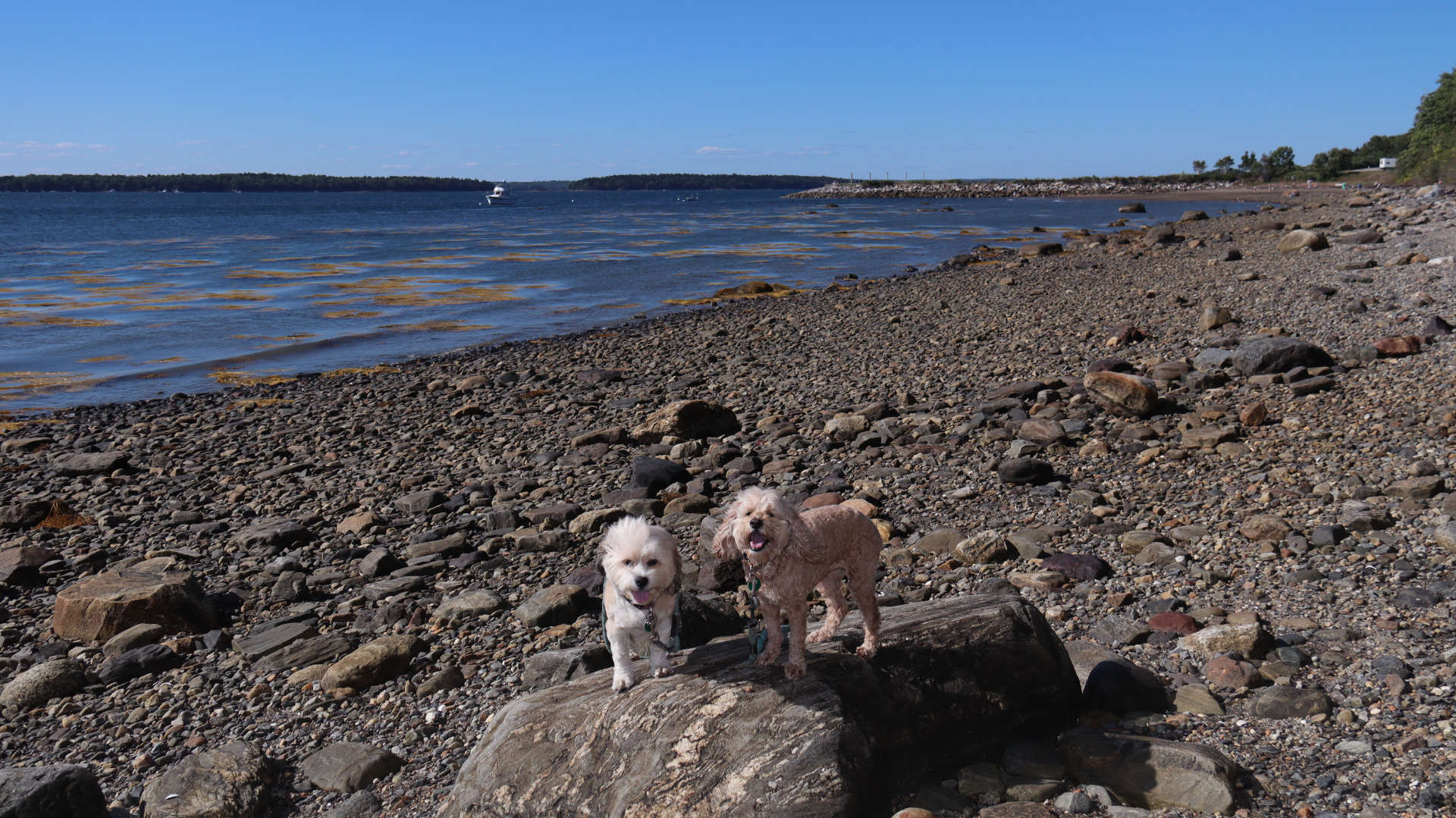 Harpswell20