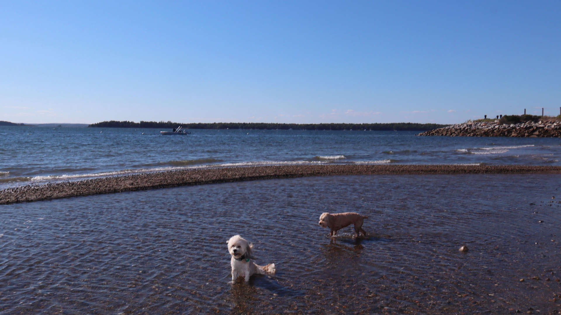 Harpswell26