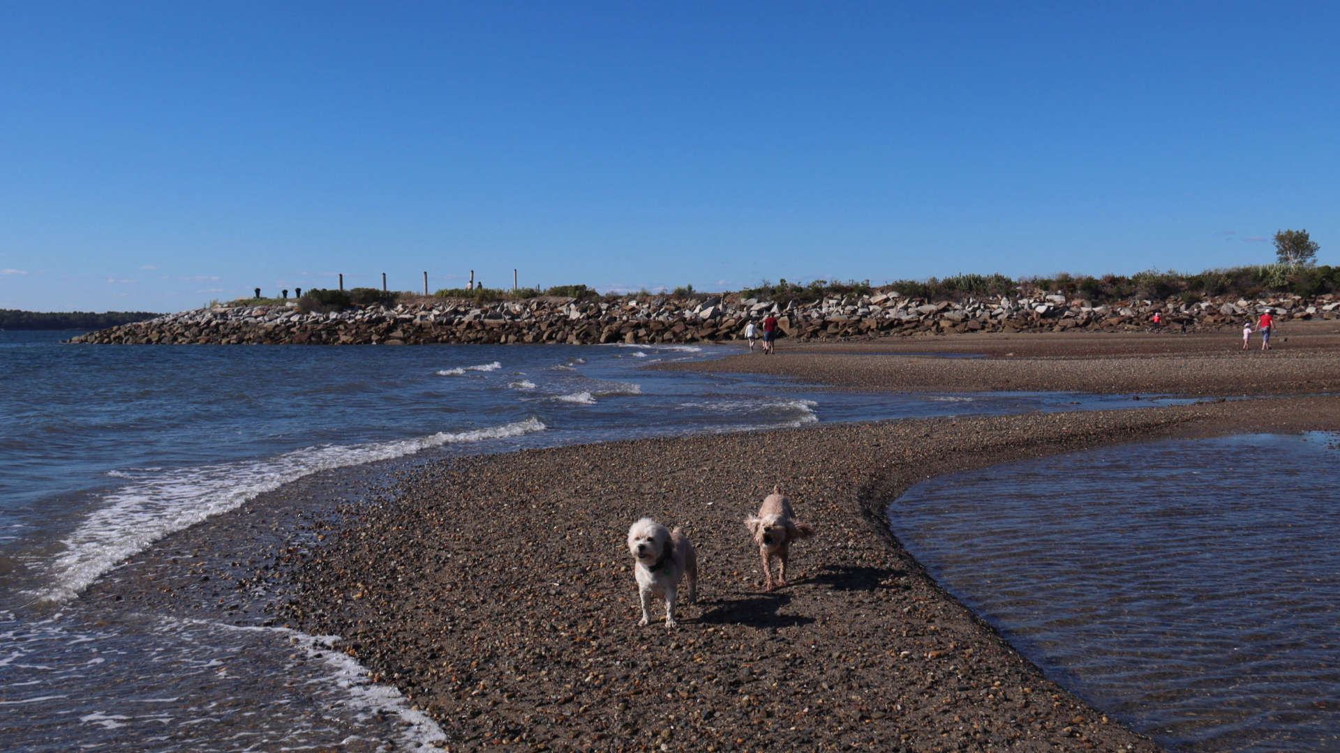 Harpswell27