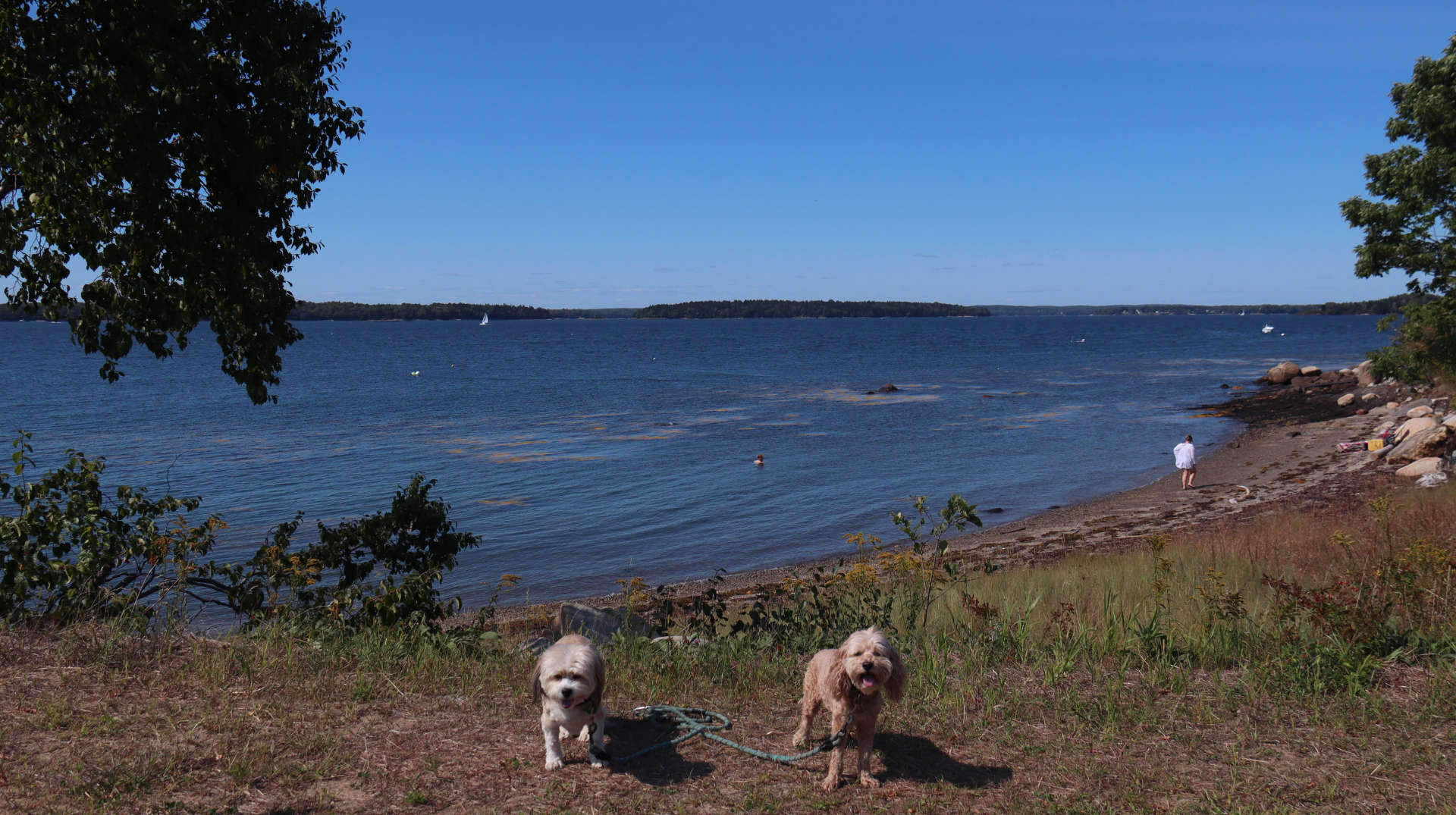 Harpswell3