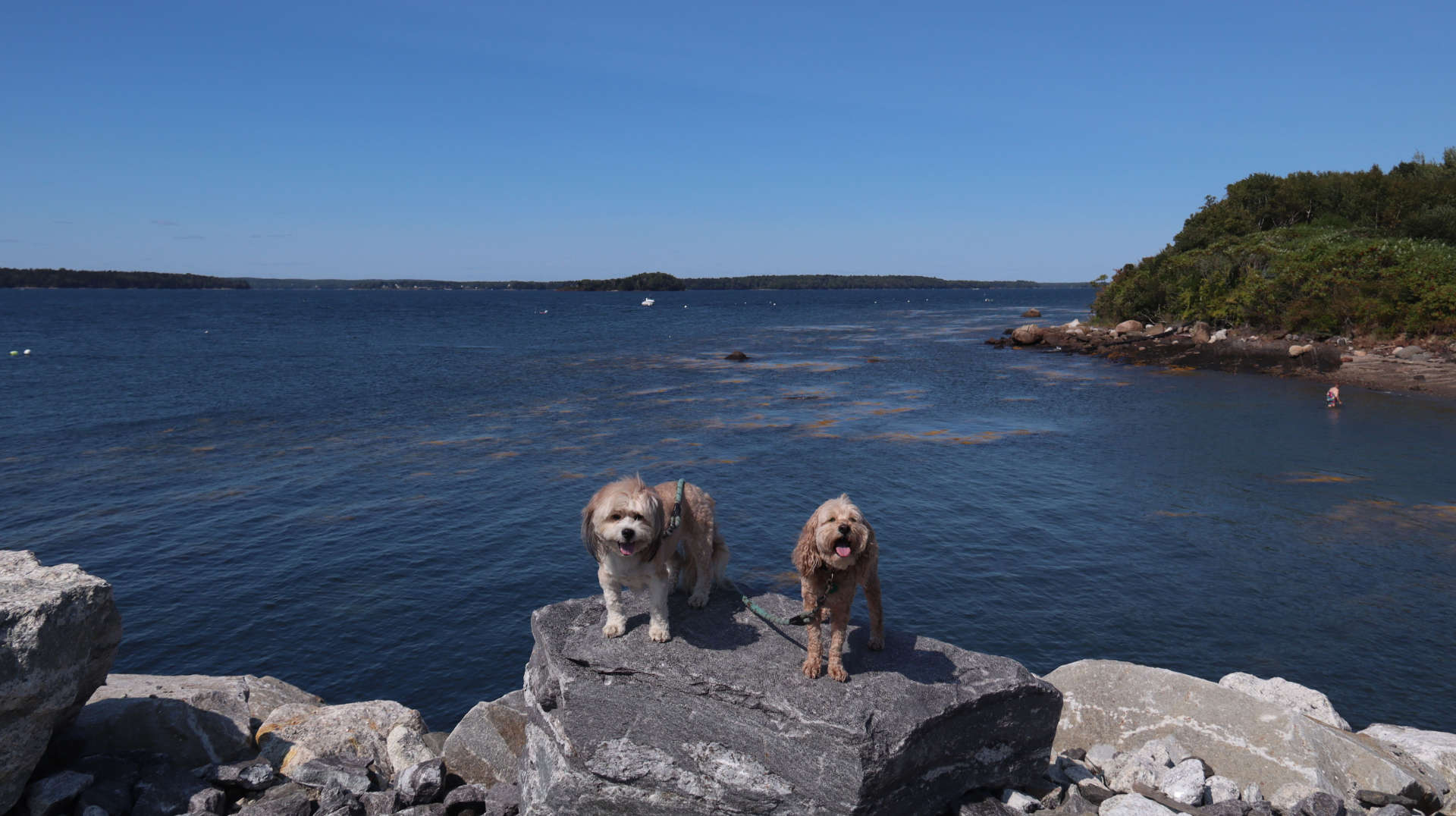 Harpswell4