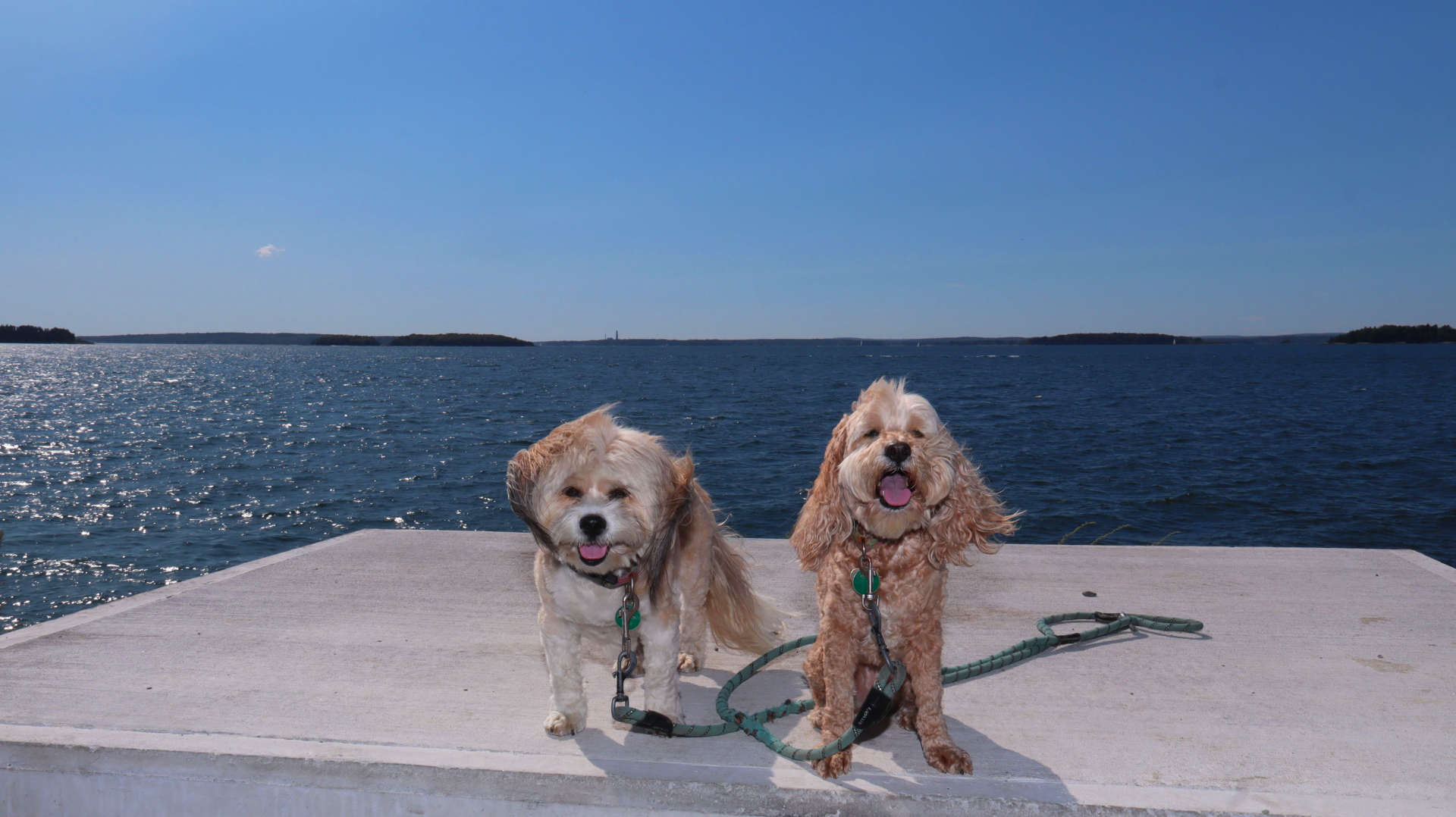 Harpswell5
