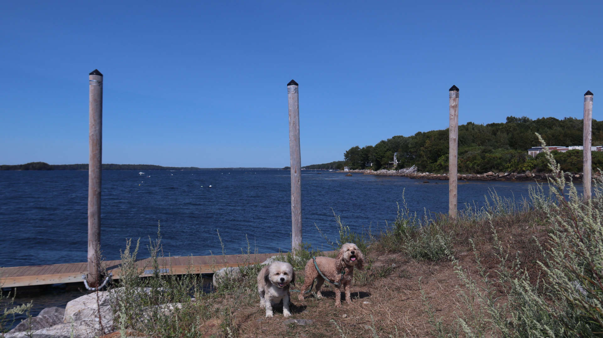 Harpswell6