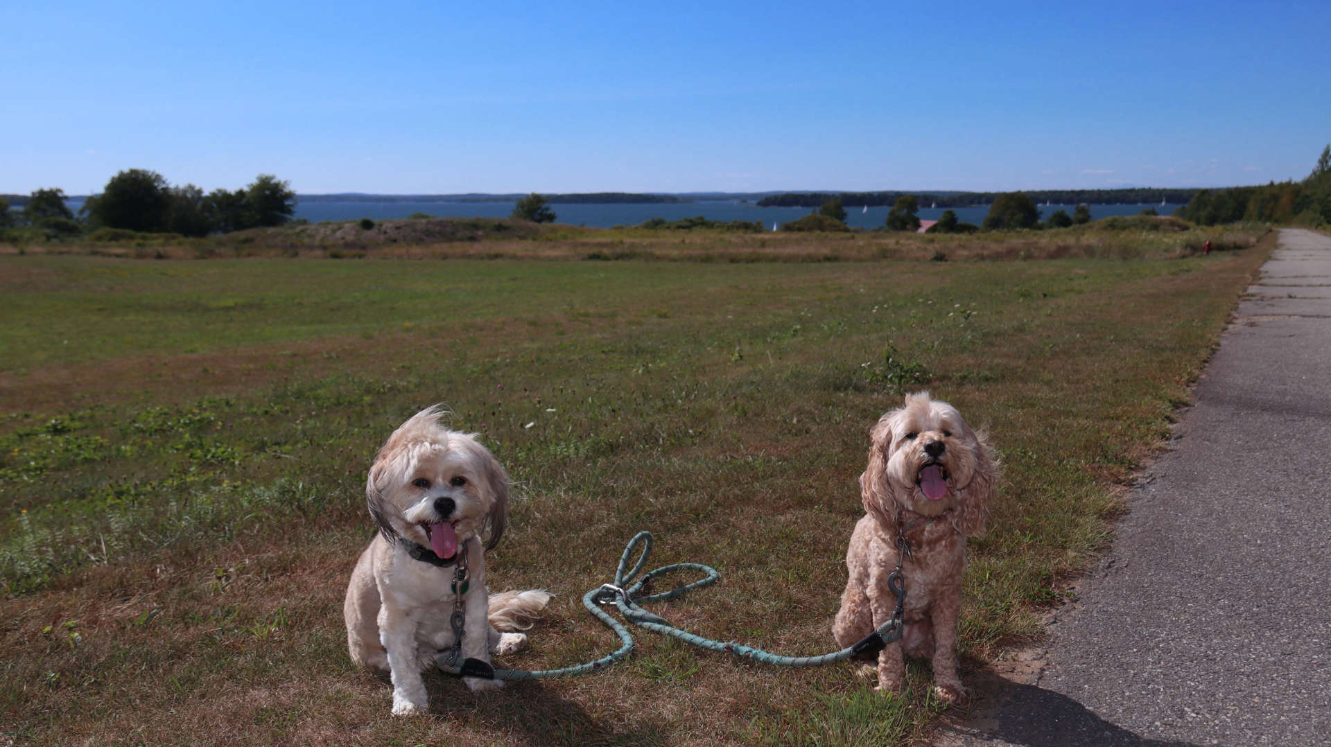 Harpswell8