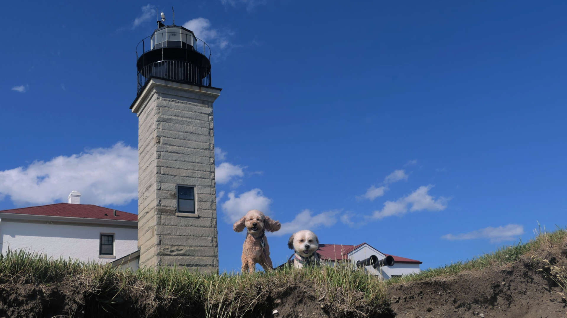 Beavertail State Park