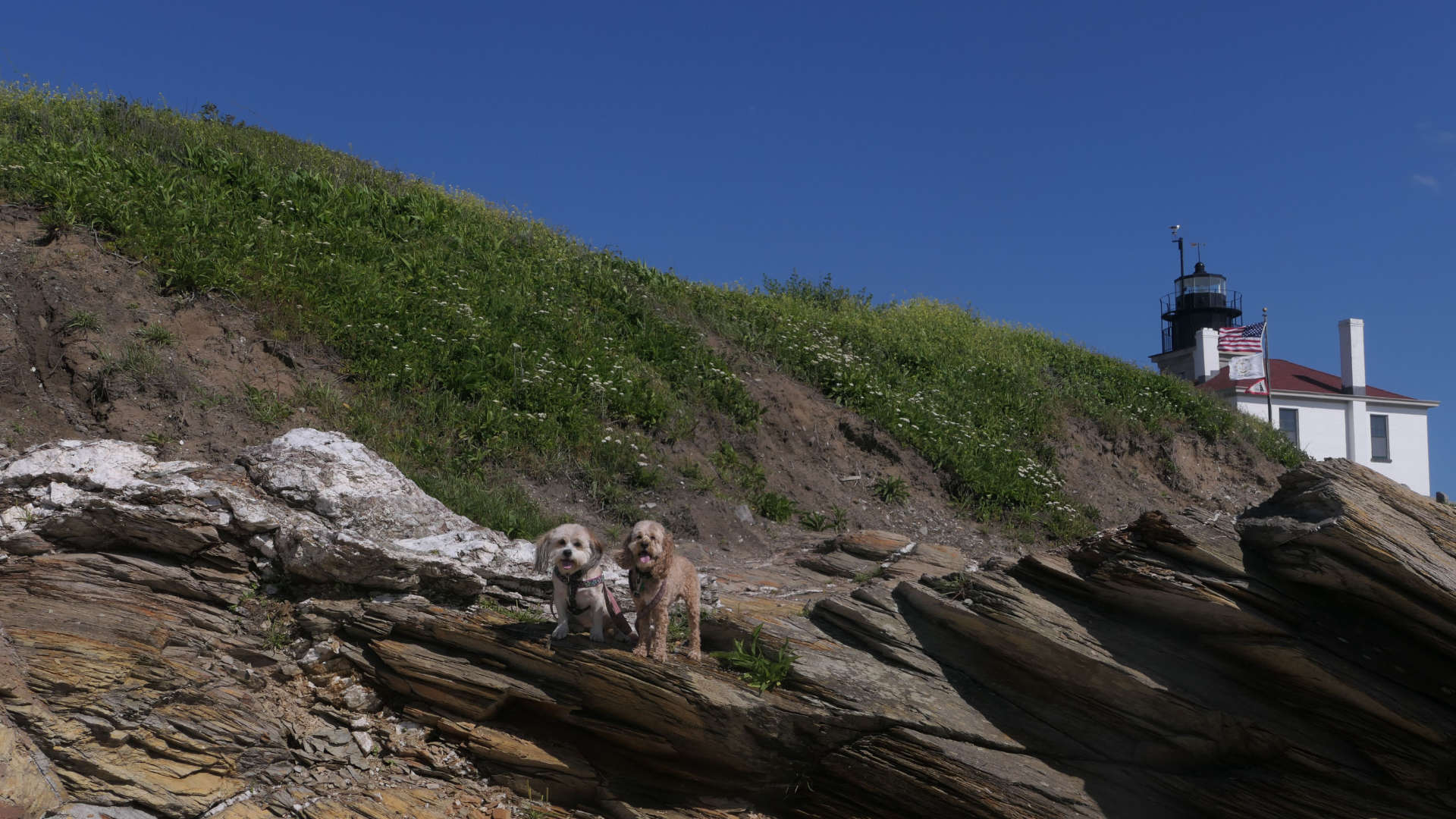 Beavertail State Park