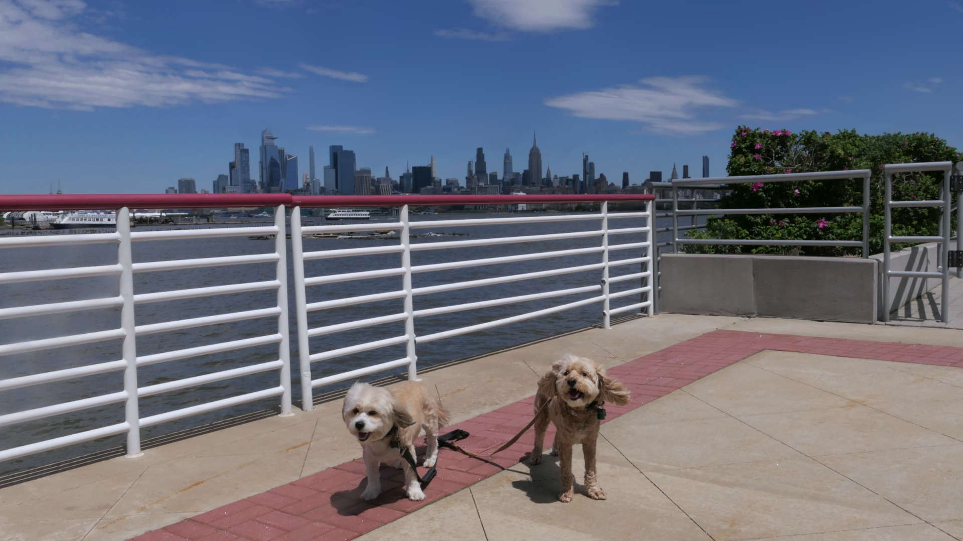 Jersey_City40