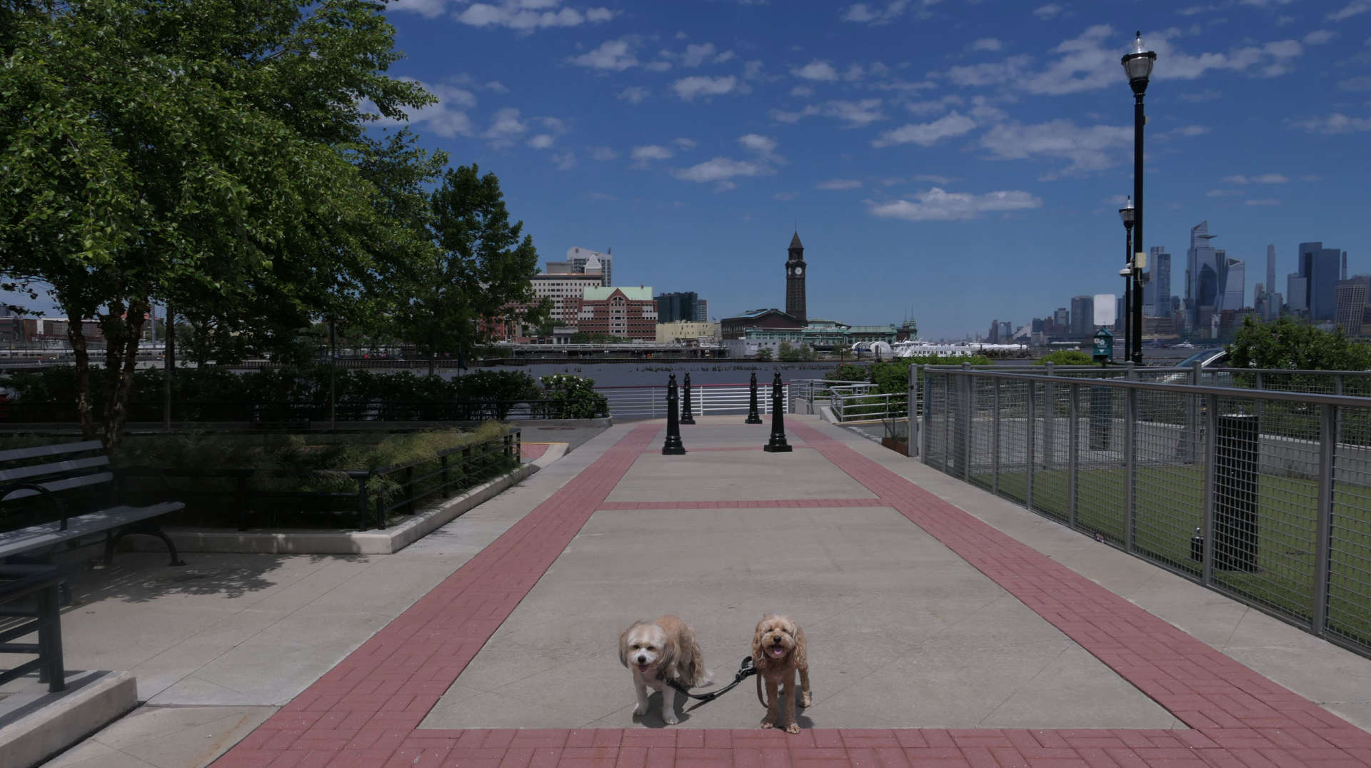 Jersey_City43
