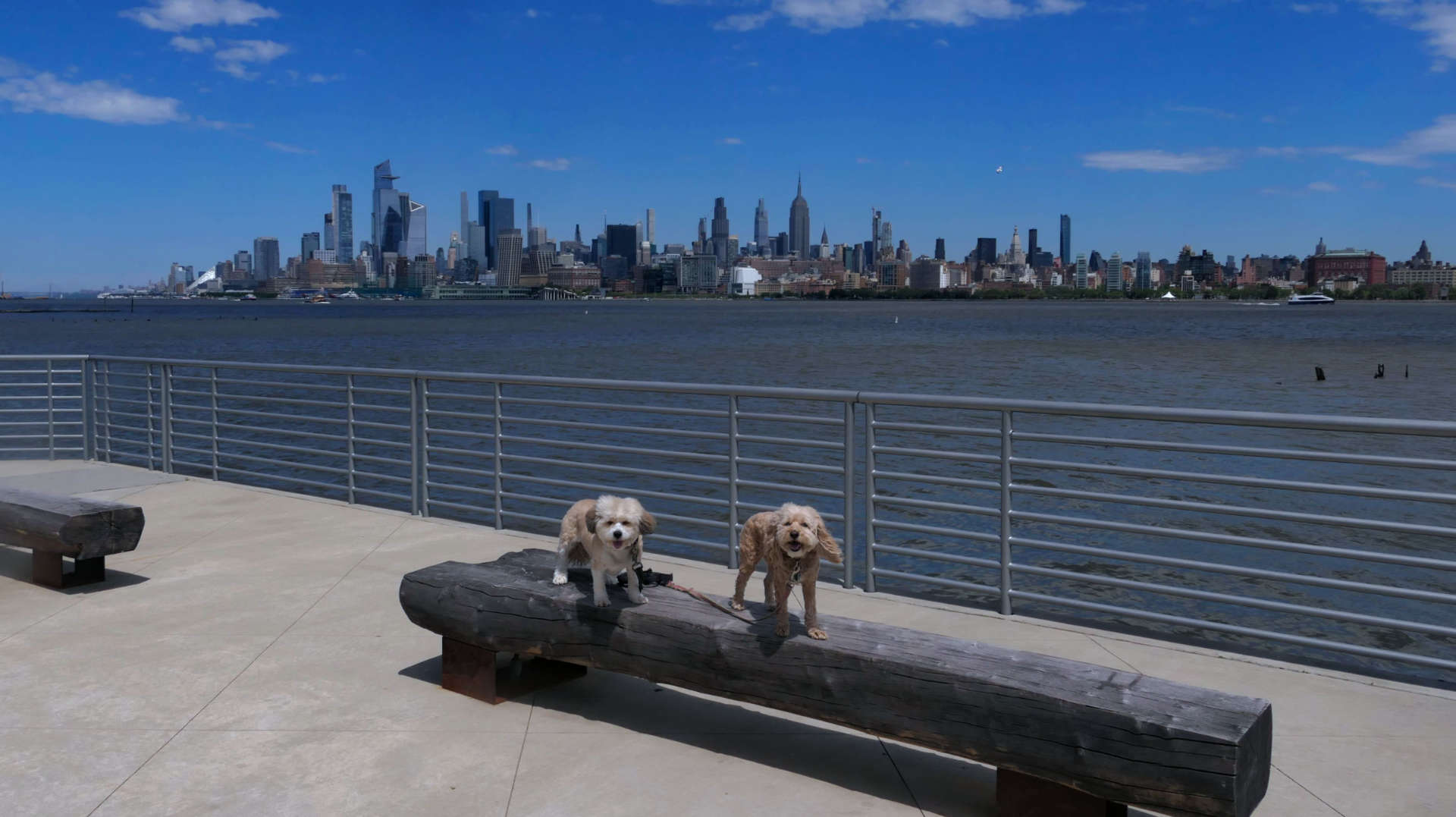 Jersey_City46