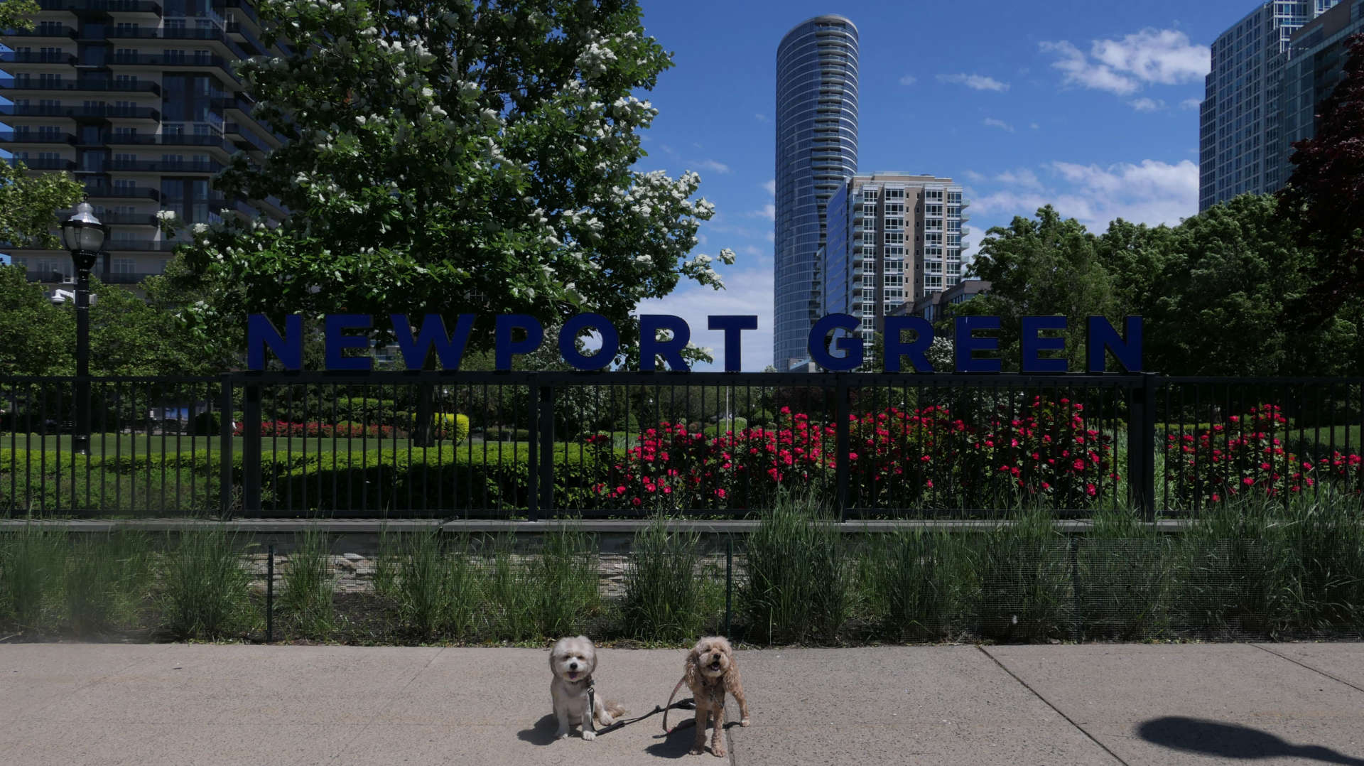 Jersey_City52