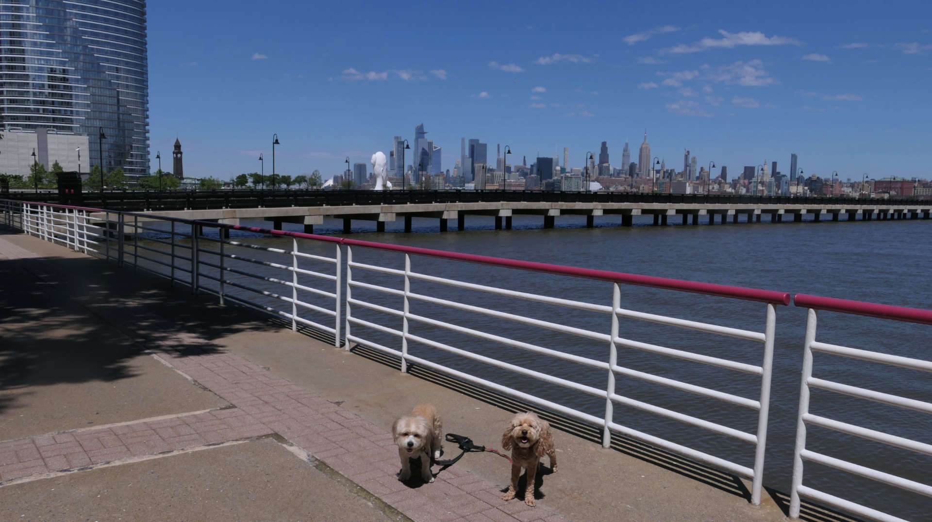 Jersey_City53