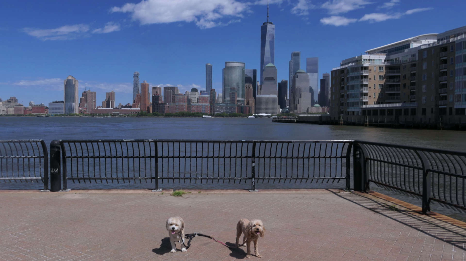 Jersey_City60