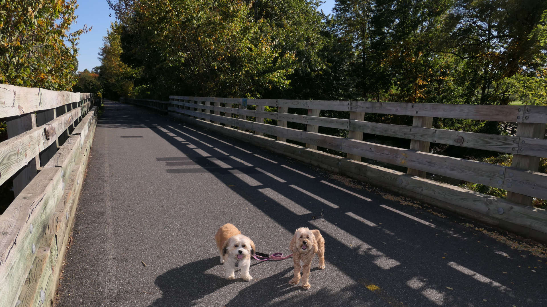 Woonasquatucket River Greenway