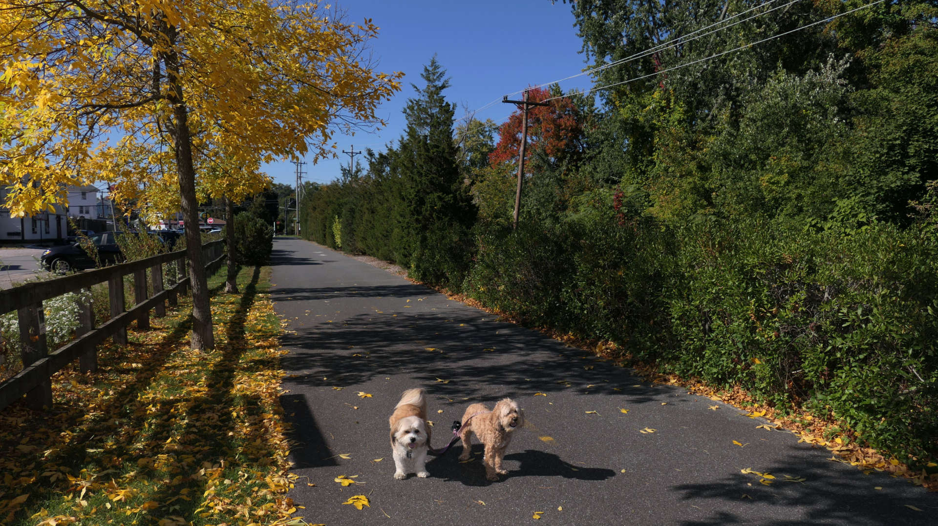 Woonasquatucket River Greenway