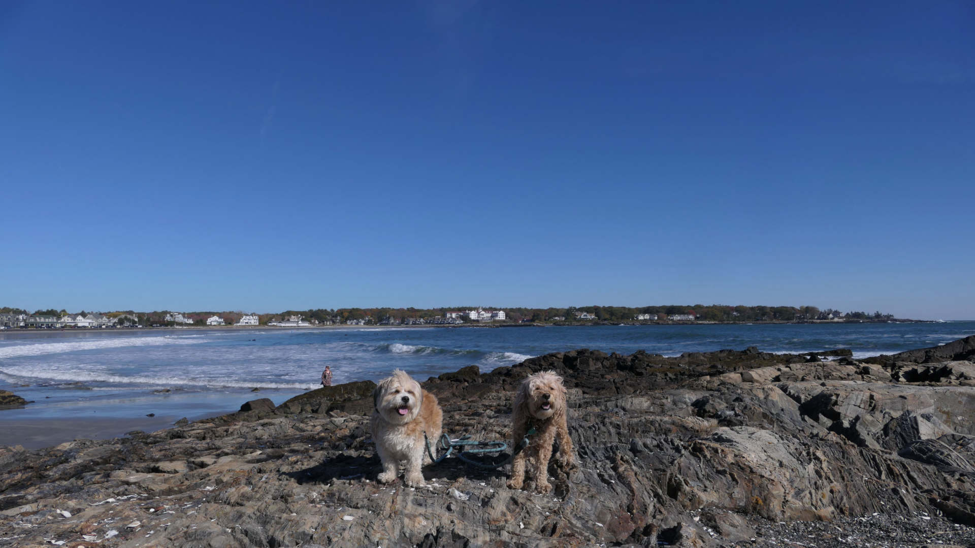 Kennebunk18
