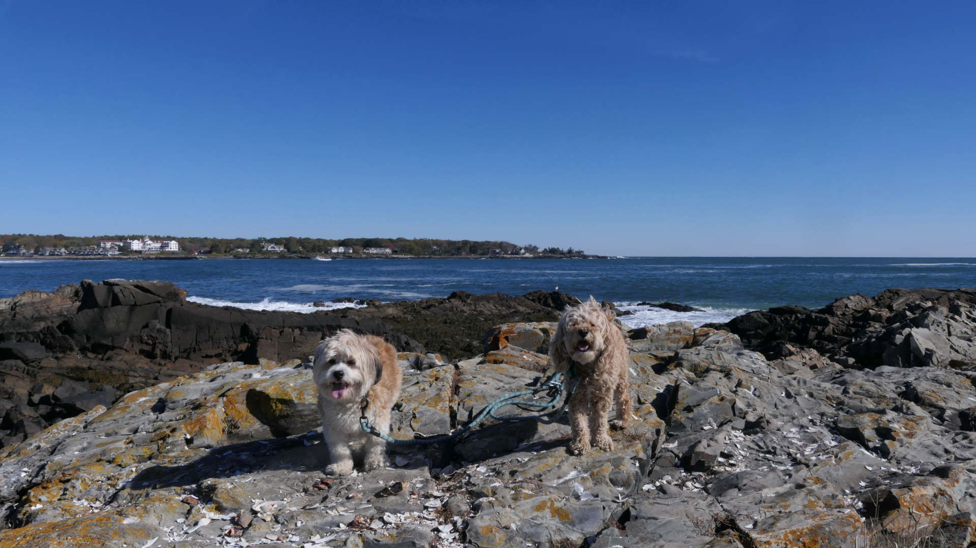 Kennebunk19