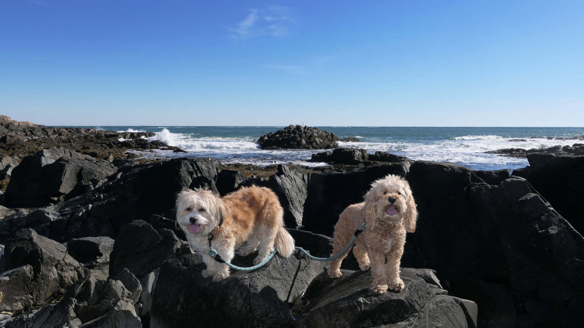 Kennebunk20