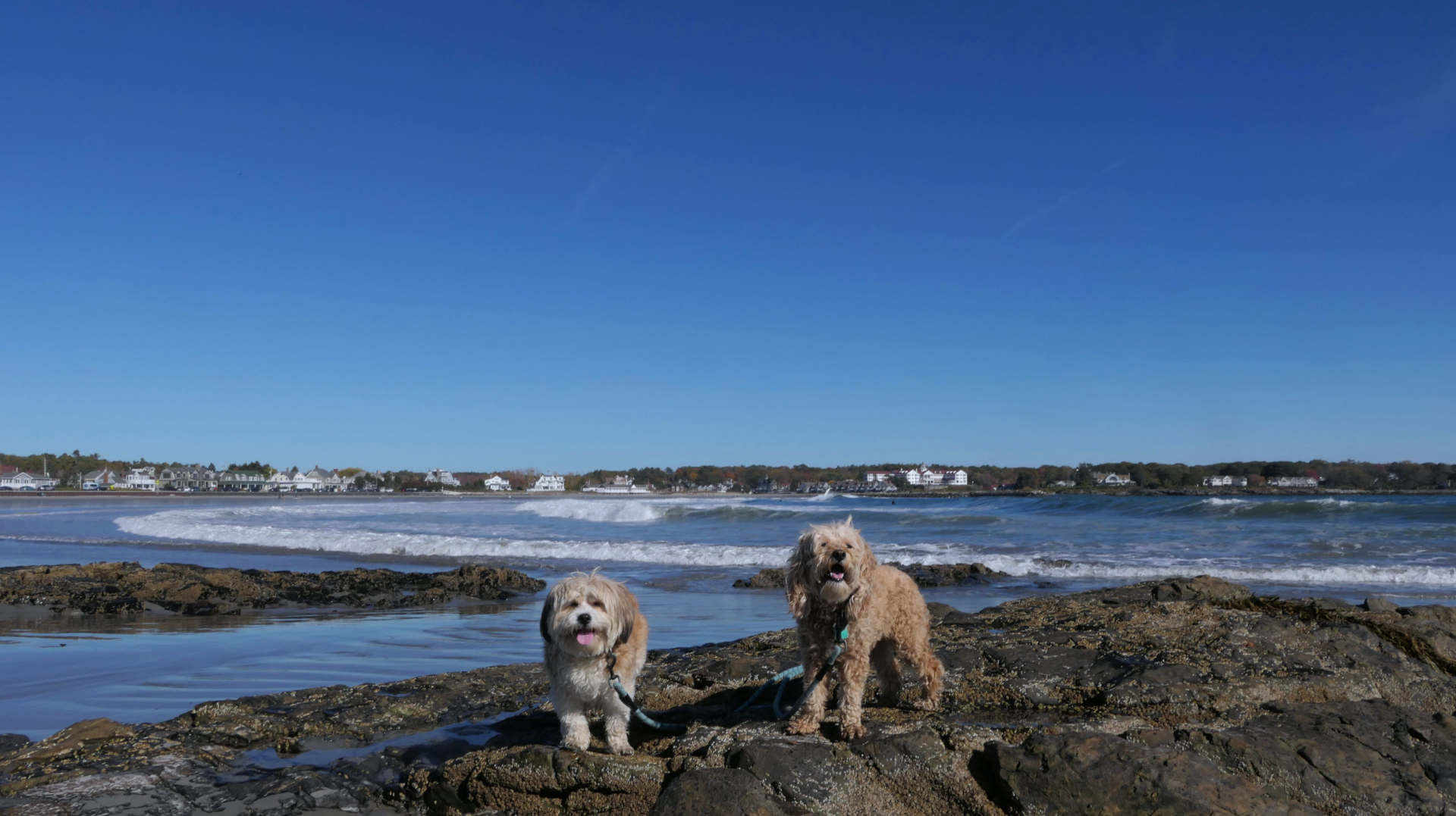 Kennebunk22