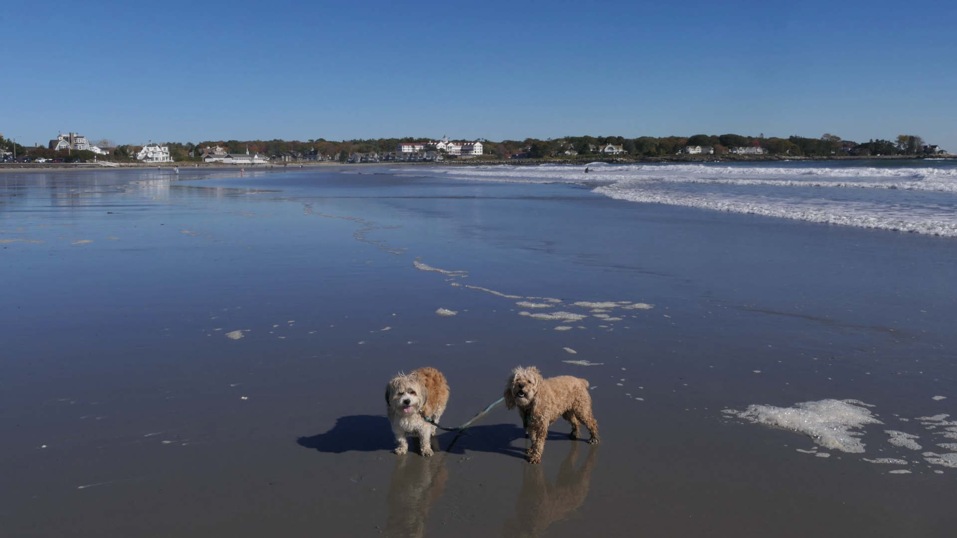 Kennebunk24