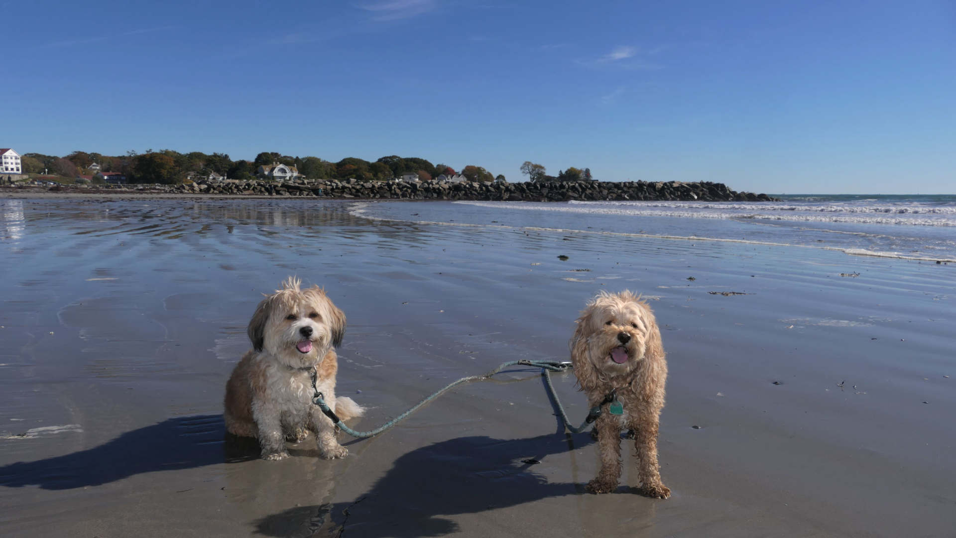 Kennebunk26