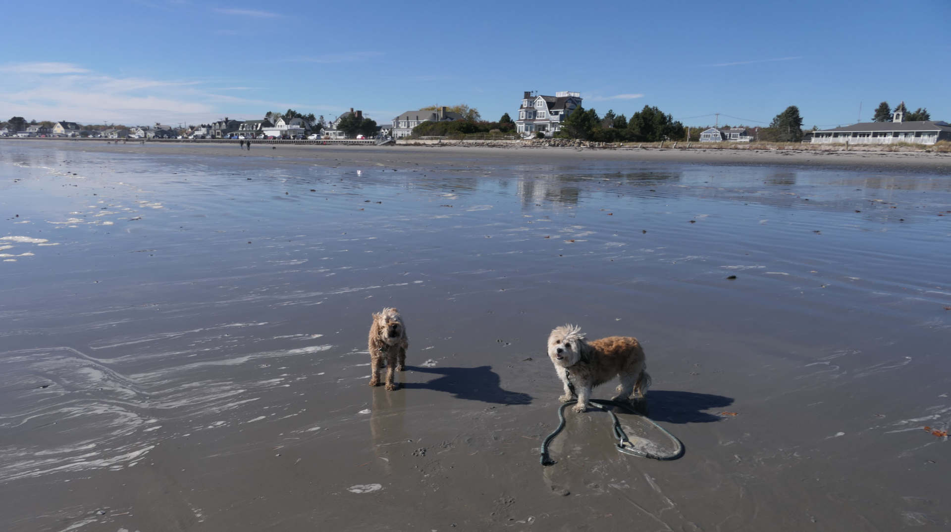 Kennebunk33