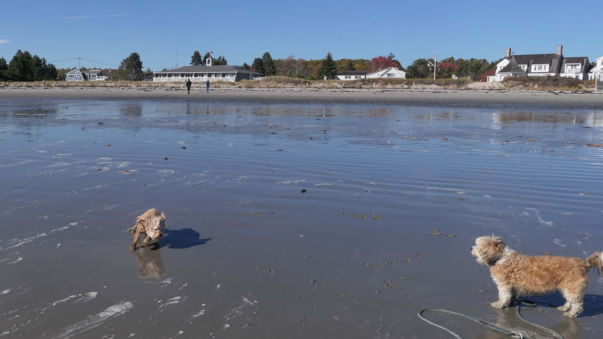 Kennebunk36