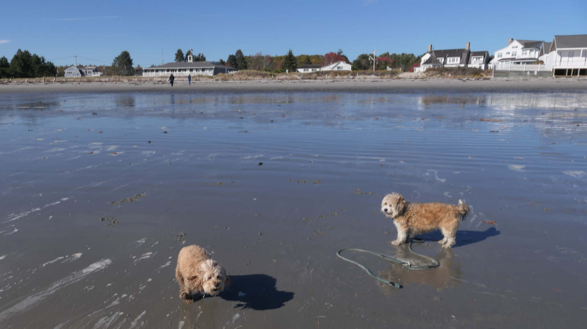 Kennebunk37