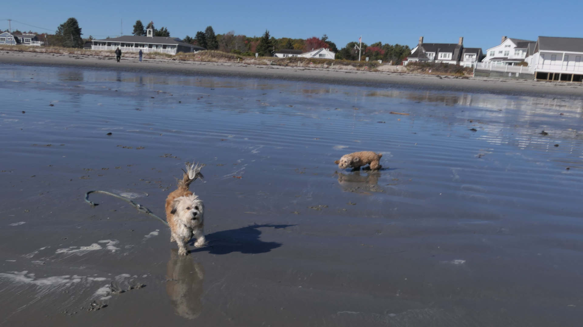 Kennebunk38