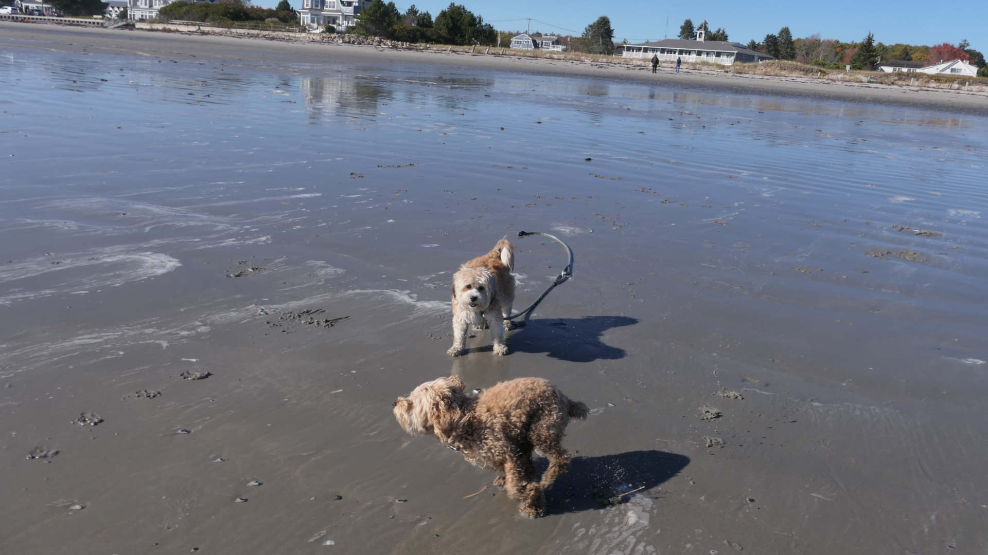 Kennebunk39