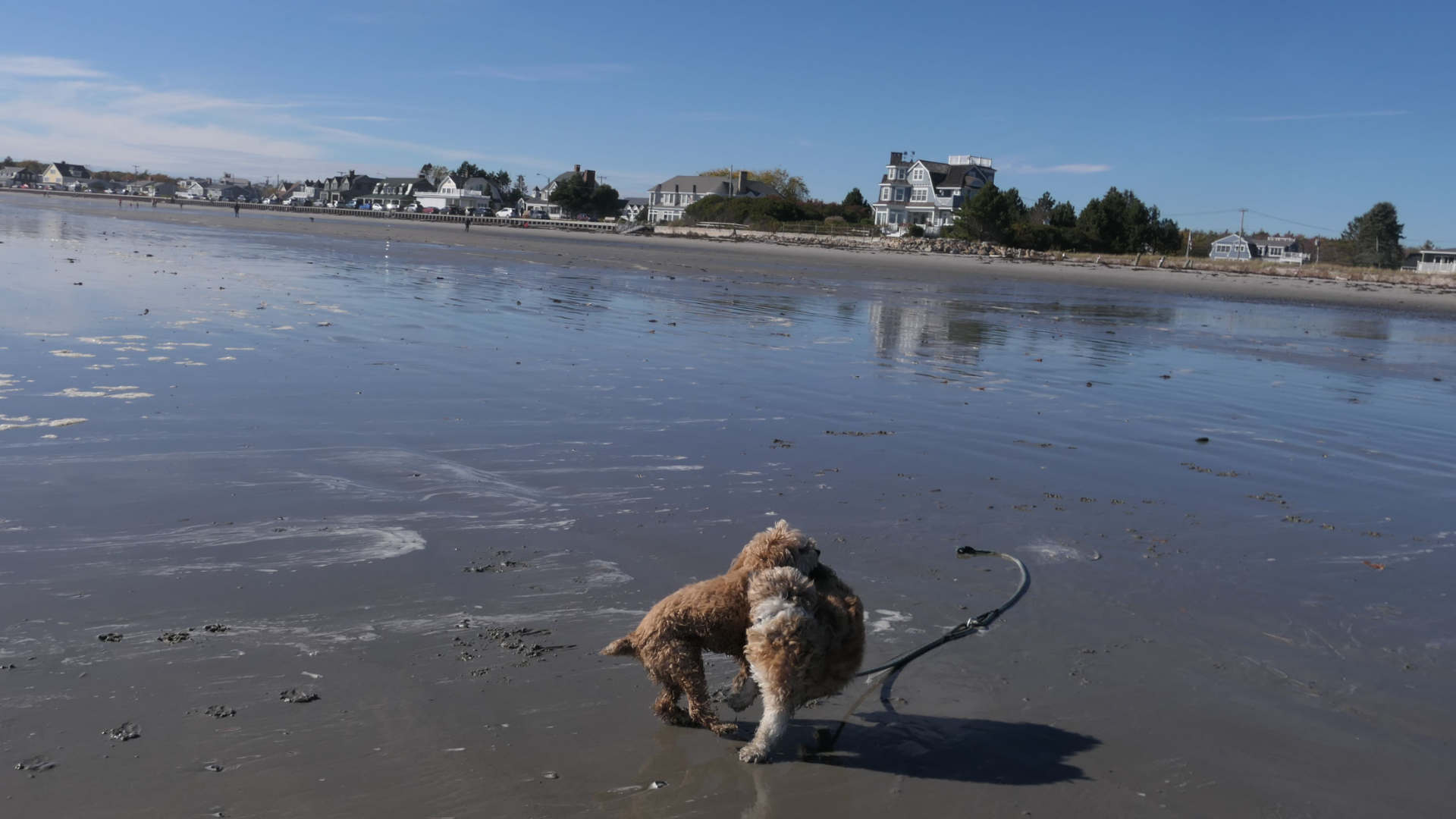 Kennebunk40