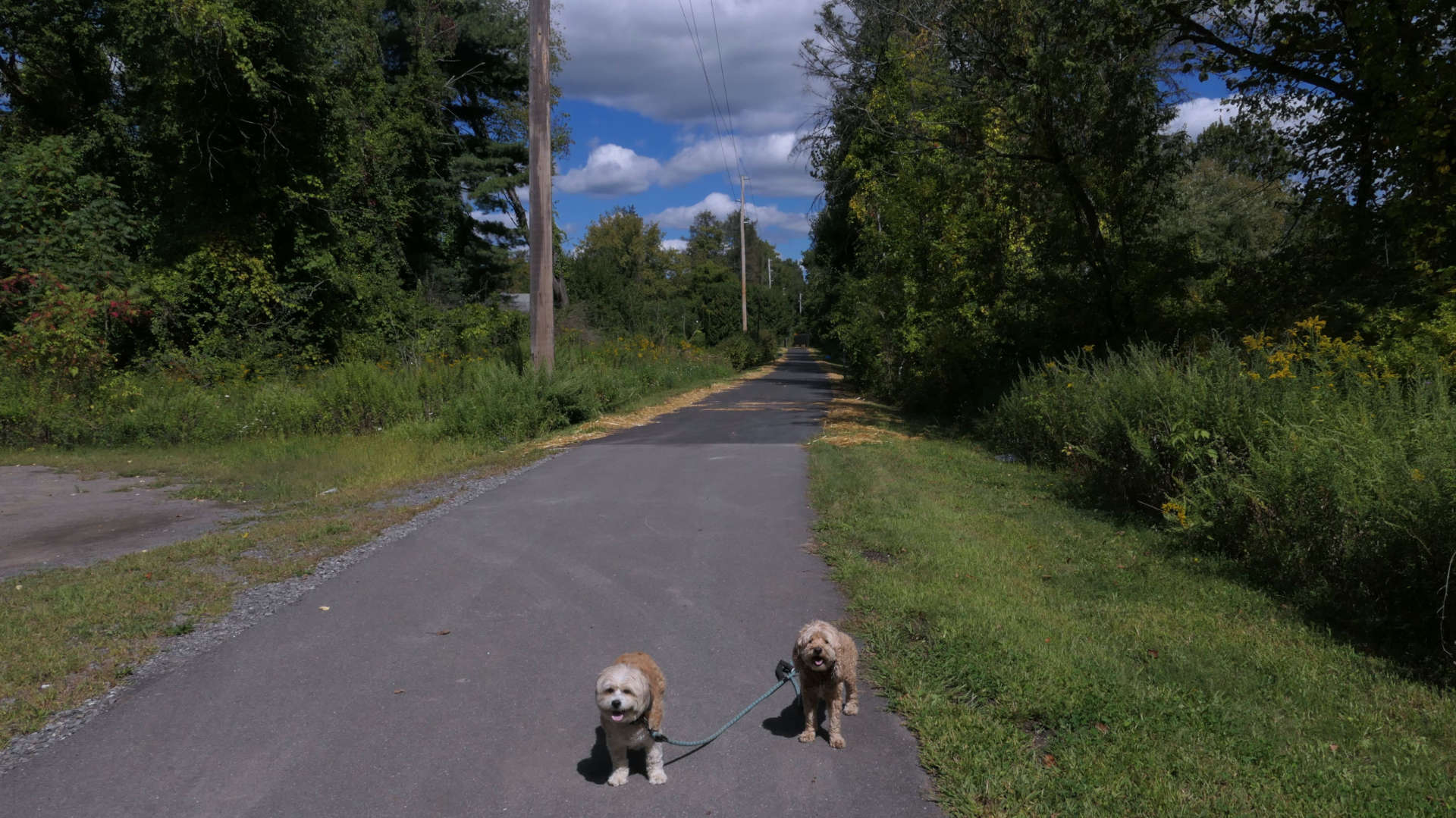 Kinderhook2