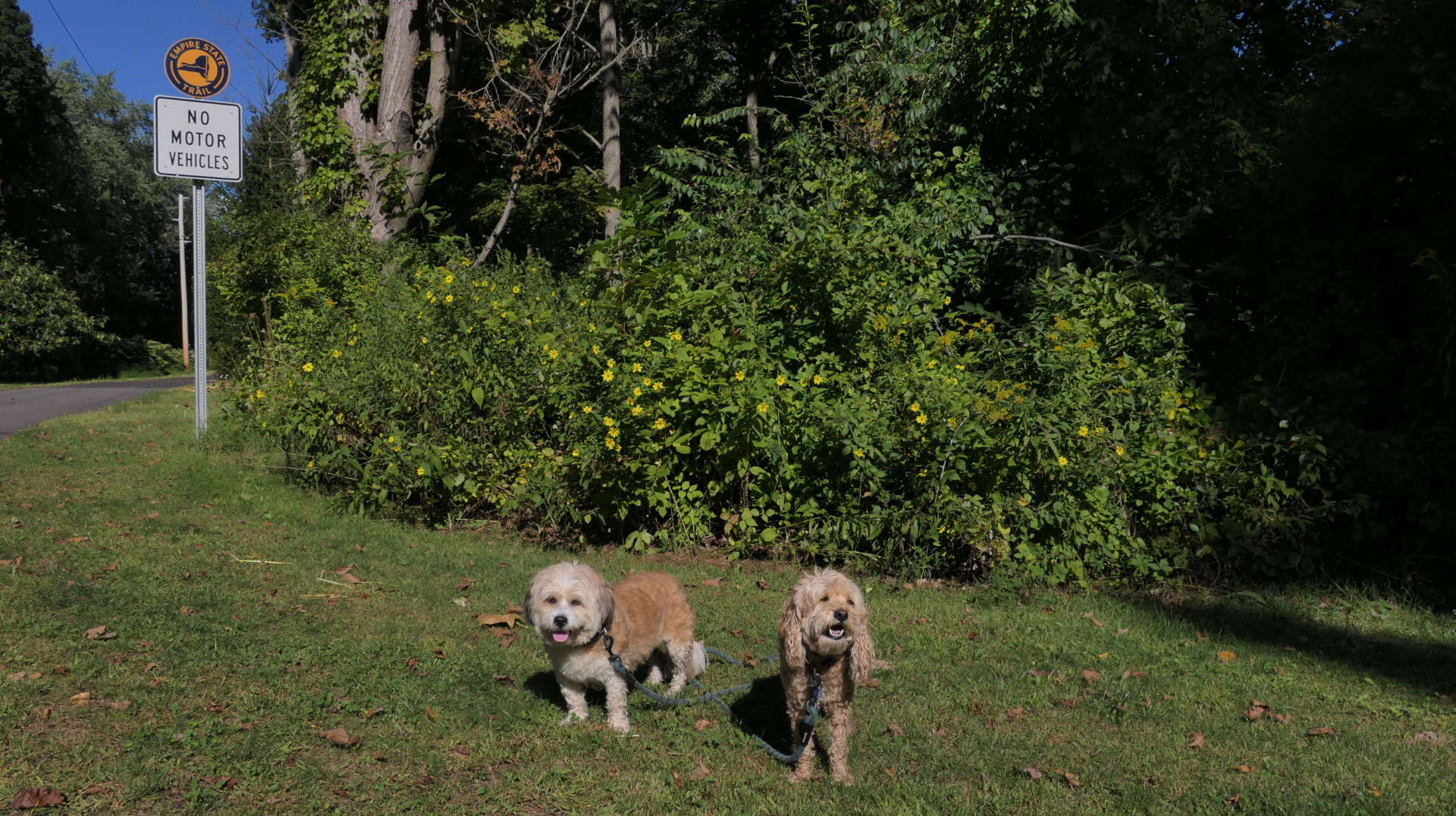 Kinderhook8