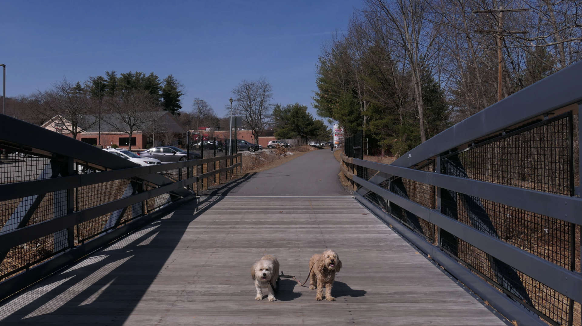Leominster6