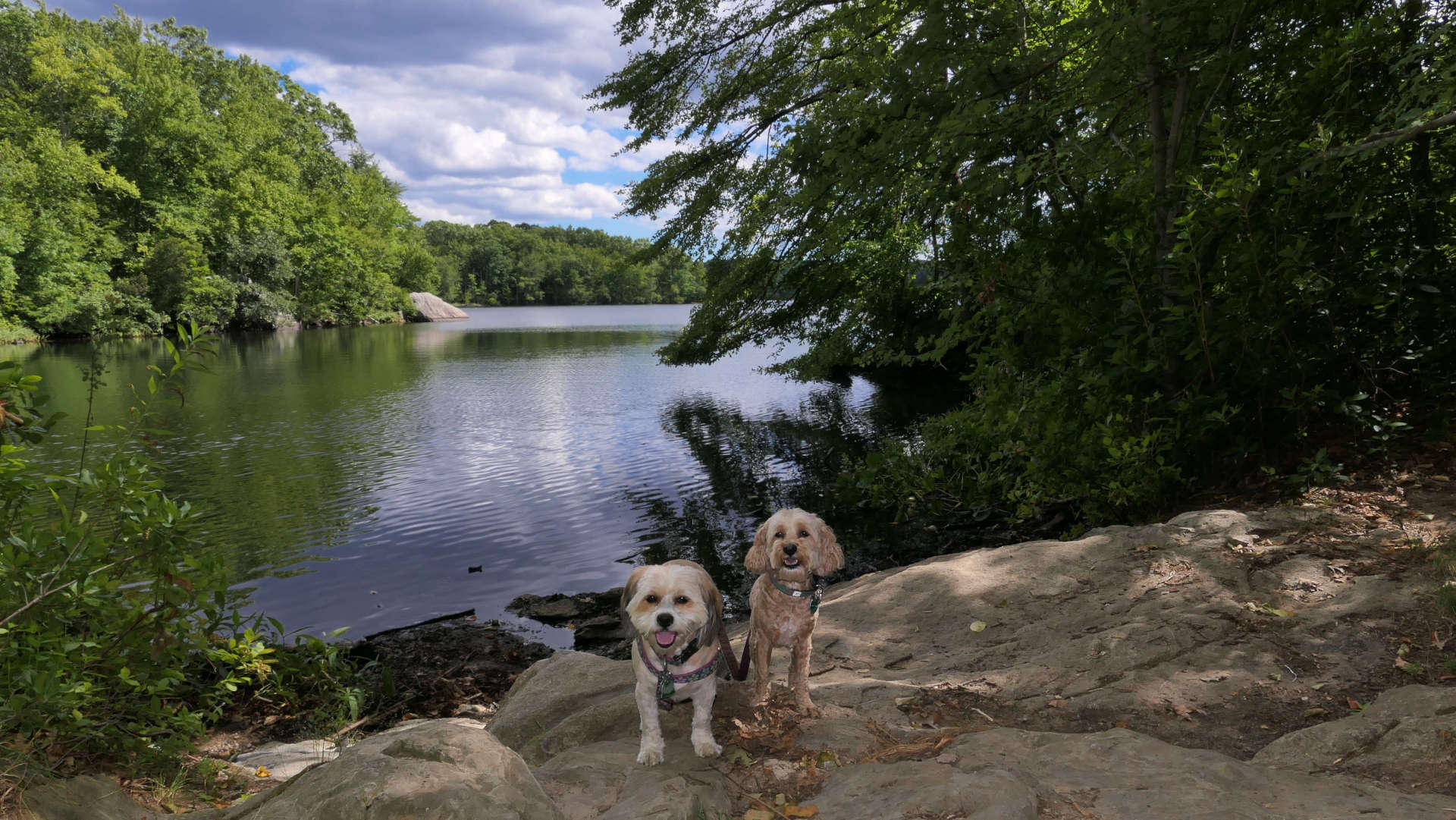 Lincoln Woods State Park