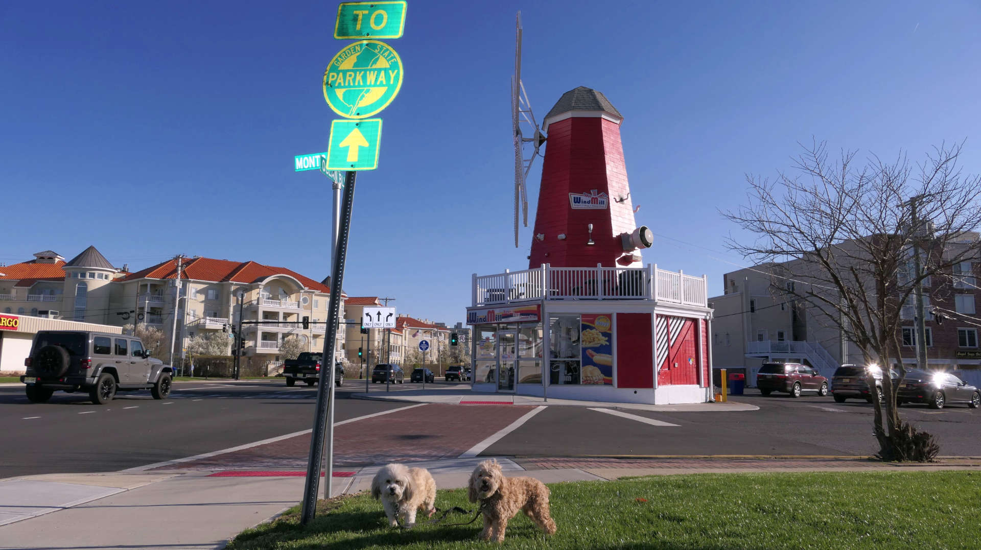Long_Branch35