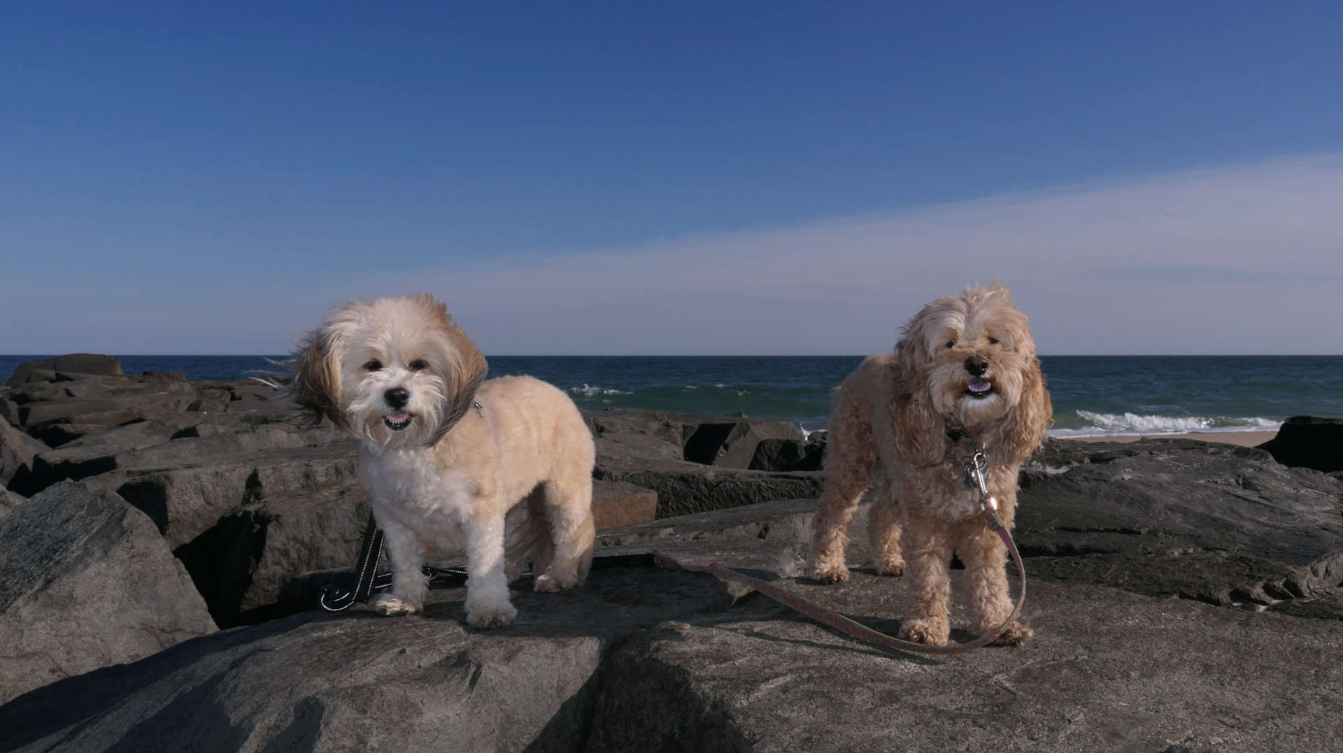 Manasquan2